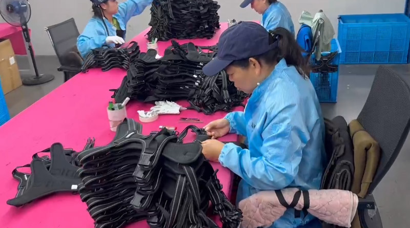 米兰(股份)宠物，无处不在