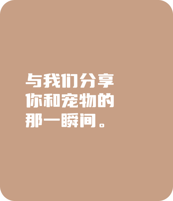 米兰(股份)宠物，无处不在